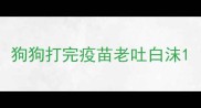 狗狗打完疫苗老吐白沫
