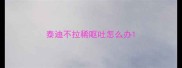 泰迪不拉稀呕吐怎么办