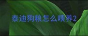 泰迪狗粮怎么喂养
