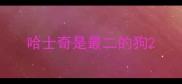 哈士奇是最二的狗