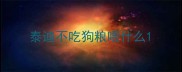 泰迪不吃狗粮喂什么