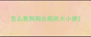 怎么教狗狗去厕所大小便