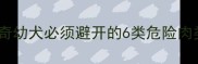 科学喂养指南哈士奇幼犬必须避开的6类危险肉类及喂养注意事项
