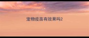 宠物疫苗有效果吗