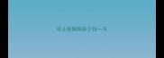 哈士奇狗狗多少钱一只