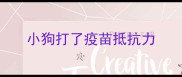 小狗打了疫苗抵抗力