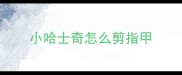 小哈士奇怎么剪指甲