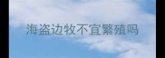 海盗边牧不宜繁殖吗