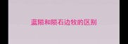 蓝陨和陨石边牧的区别