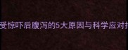 猫咪受惊吓后腹泻的5大原因与科学应对指南