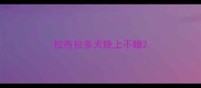 拉布拉多犬晚上不睡