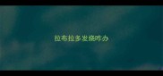 拉布拉多发烧咋办