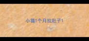 小猫1个月拉肚子