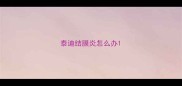泰迪结膜炎怎么办