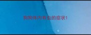 狗狗体内有虫的症状