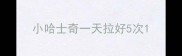 小哈士奇一天拉好5次