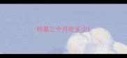 柯基三个月吃多少