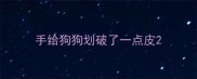 手给狗狗划破了一点皮