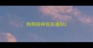 狗狗接种疫苗通知