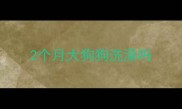 2个月大狗狗洗澡吗