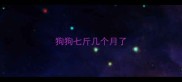 狗狗七斤几个月了