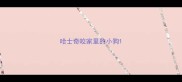 哈士奇咬家里的小狗
