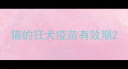 猫的狂犬疫苗有效期