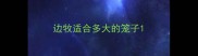 边牧适合多大的笼子