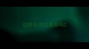 边牧毛很短是串吗