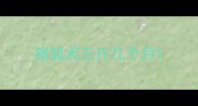 银狐犬三斤几个月