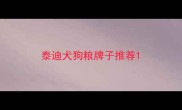 泰迪犬狗粮牌子推荐