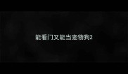 能看门又能当宠物狗