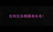 拉布拉多眼睛有长毛