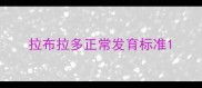 拉布拉多正常发育标准