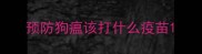 预防狗瘟该打什么疫苗