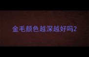 金毛颜色越深越好吗