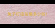 兔子打疫苗要多少钱