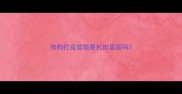 狗狗打疫苗需要扎肉里面吗