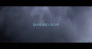 幼犬泰迪咬人怎么办