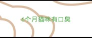 6个月猫咪有口臭