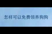 怎样可以免费领养狗狗