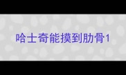 哈士奇能摸到肋骨