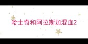 哈士奇和阿拉斯加混血
