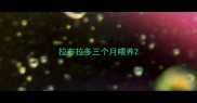 拉布拉多三个月喂养
