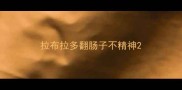 拉布拉多翻肠子不精神