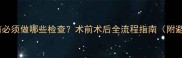 猫咪绝育前必须做哪些检查术前术后全流程指南附避坑要点