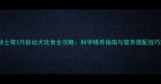 哈士奇3月龄幼犬饮食全攻略科学喂养指南与营养搭配技巧