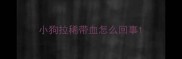 小狗拉稀带血怎么回事