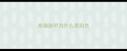 泰迪指甲为什么是白色