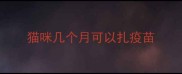 猫咪几个月可以扎疫苗